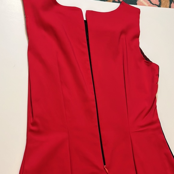 Red and black sleeveless kneelength spandex dress - Picture 3 of 5